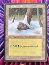 MTG Magic the Gathering - Snow-Covered Forest