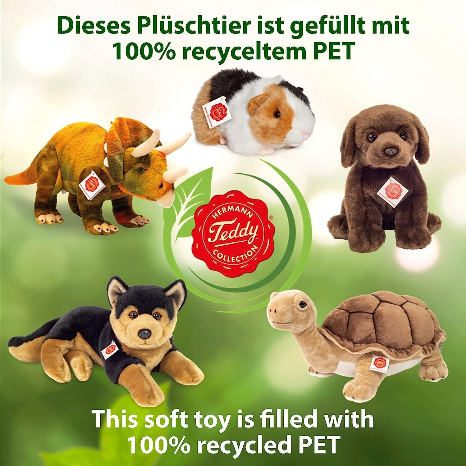 Bild 6 von 6