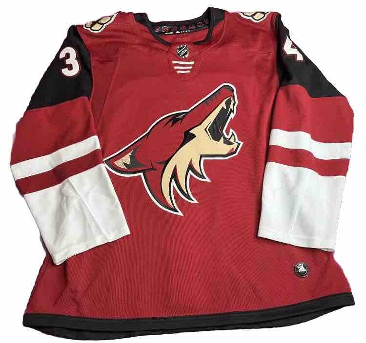 Adidas Arizona Coyotes Alternate Jersey 2018 Arizona Coyotes