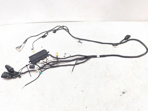 20-25 Massimo T-Boss 410 Main Wiring Harness 47510