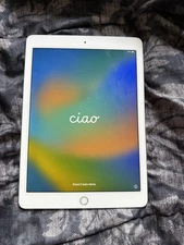 iPad Pro 9.7 Inch Silver