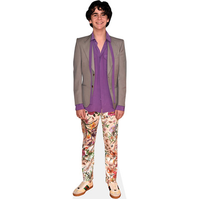 Jack Dylan Grazer (Jacke) Life Size Cutout
