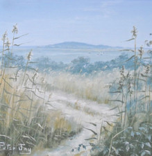 Peter Jay - Original Acrylic Painting - The Marsh Near Wells. Somerset.