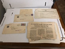 Vintage AKC Paperwork 1930s 1940s Litter Registration More