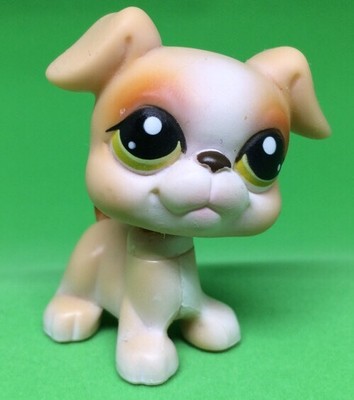 boxer dog shop