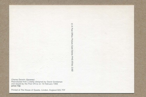 Charles Darwin, IGUANAS. dell'artista, David Gentleman. CARTOLINA REALE REGNO UNITO - Foto 2 di 2