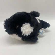 Mini Squishable Orca  Plush Stuffed Whale