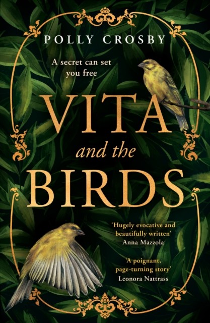 Vita and the Birds by Polly Crosby (Paperback Book)