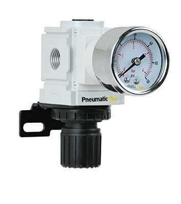 PneumaticPlus PPR2-N02BG-4 Miniature Air Pressure Regulator 1/4'' NPT - Gauge,