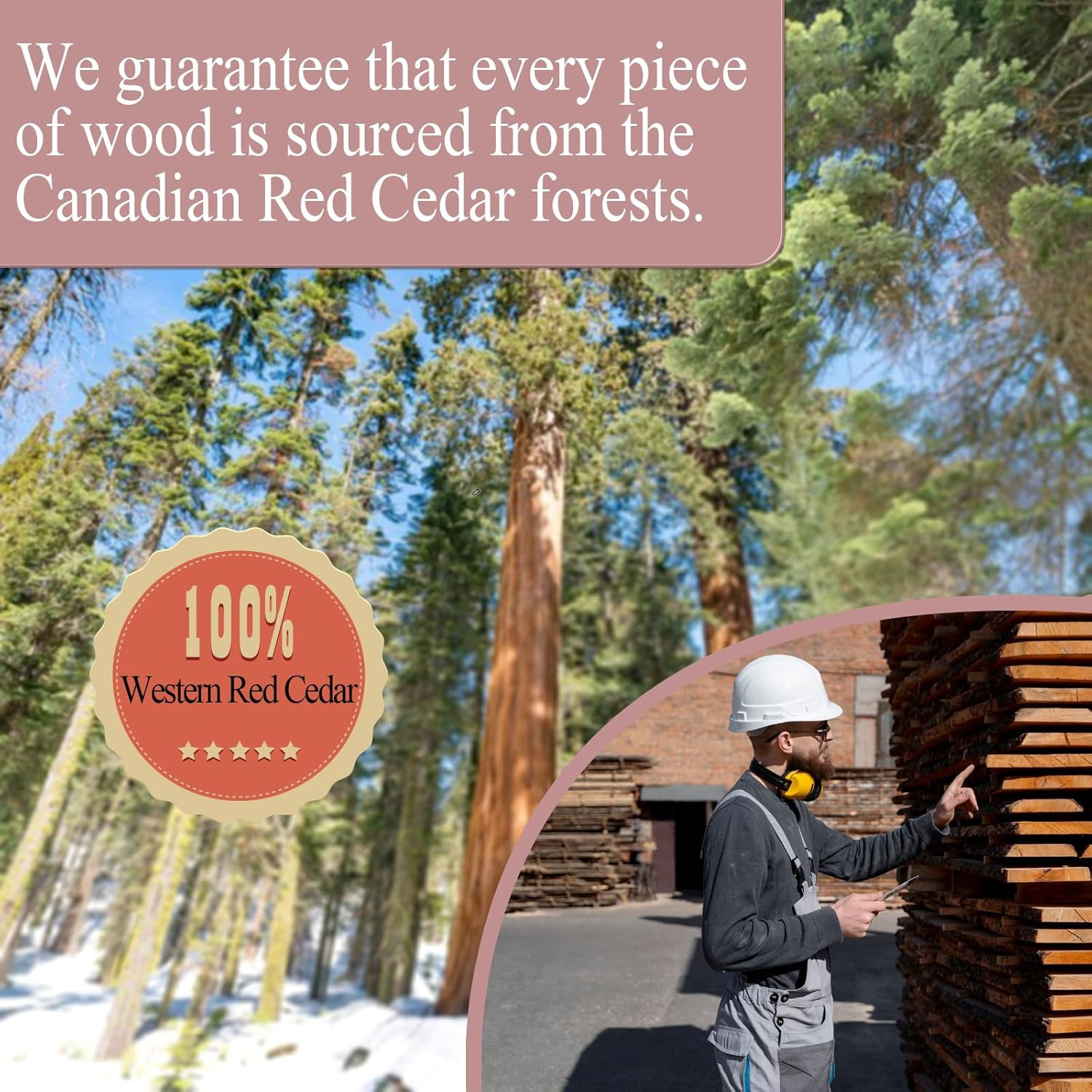 Western Red Cedar Wall Panels, 3.5" Wx16-55" L Wood Planks for Walls, Accent Wal