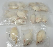 Lot of 25 Vintage White Artificial Mice Real Fur Leather Mouse for Crafts