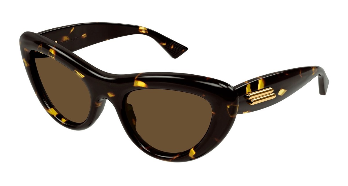Bottega Veneta Black and Brown Sunglasses Bottega Veneta BV1406S 002 Sunglasses - US main image 3