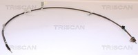 Triscan Bremsseil Seilzug Feststellbremse 8140 131346 FüR Toyota Prius Hybrid