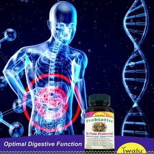 L Reuteri Probiotics   Targeted Gut Health Support for Daily Wellness   USA