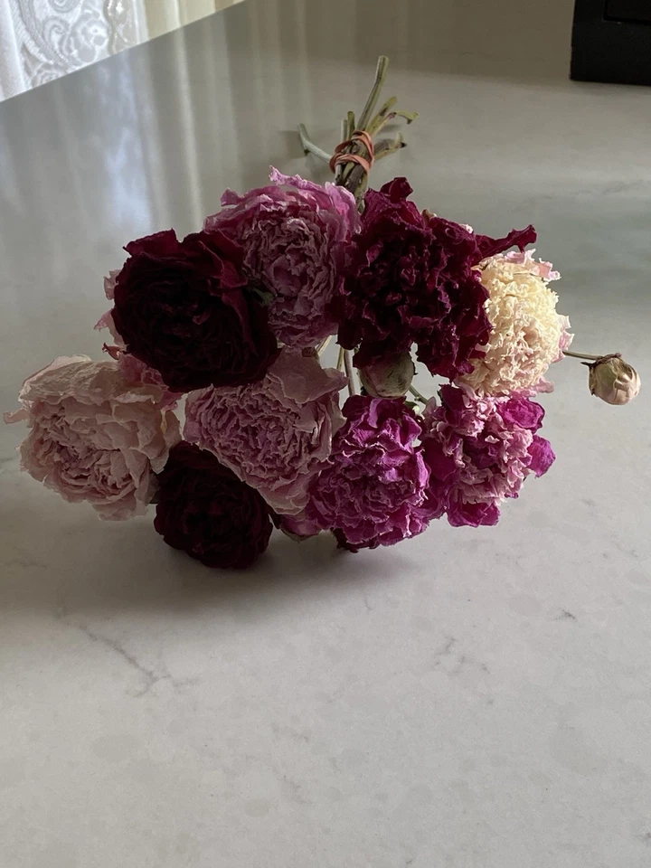 PEONIES * DRIED FLOWER Bunch BOUQUET Bundle USA Grown * Assorted PEONY Mix Auc#1 - Image 3 of 4