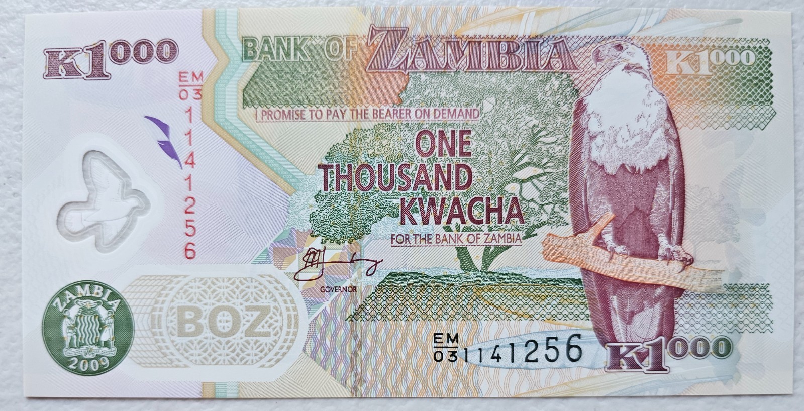Zambia 1000 Kwacha 2009 Polymer Unc