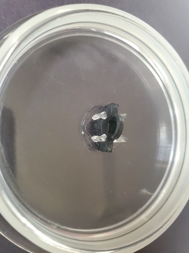 Gourmia Frothing LID ONLY Replacement Part For GMF 215 - Picture 4 of 6