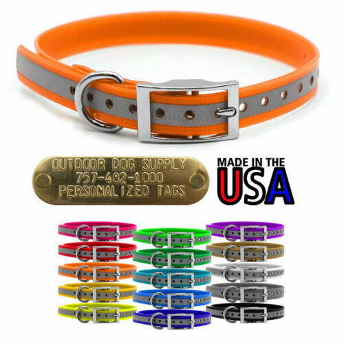 Hunting Dog Reflective Name Collar 3/4 D Ring & Custom Brass Tag ID Plate