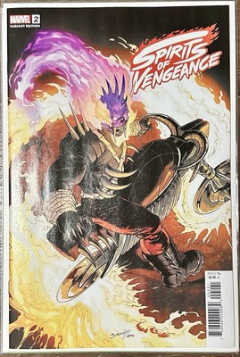 Spirits Of Vengeance #2 Mark Bagley Variant Cover Ghost Rider Marvel Comics NM