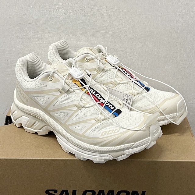 Salomon 25FW XT-6 Sneakers Vanilla Ice Almond Milk (L47445300