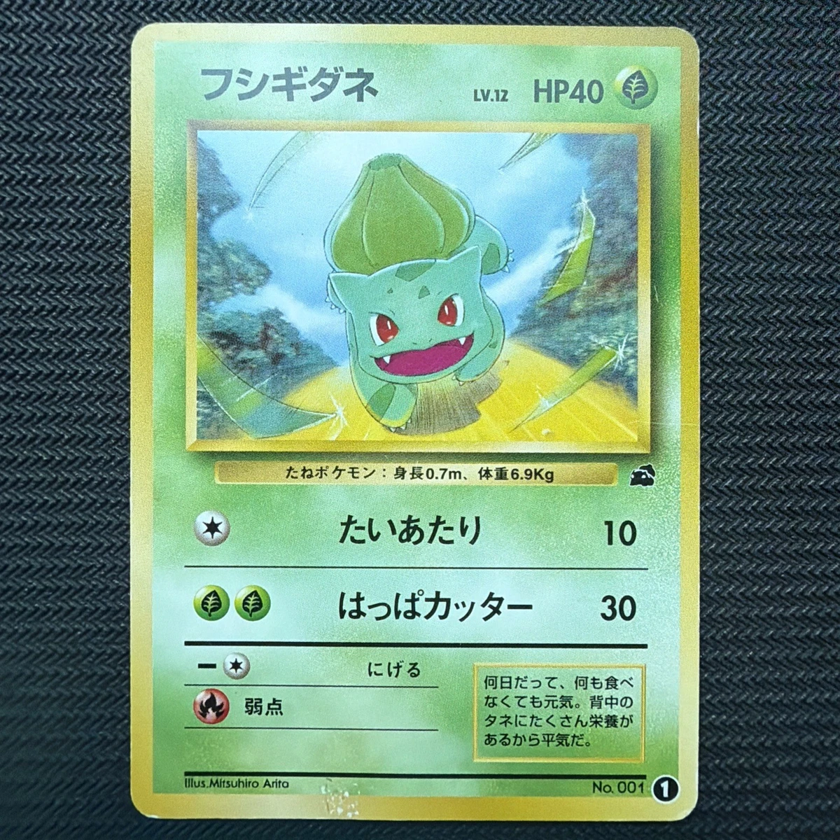 Bulbasaur 1 Intro Pack for sale | eBay