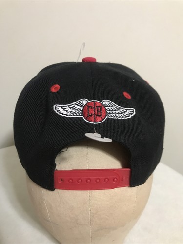 Chicago Bulls 2019-20 BMO Melonwear Snapback Hat Artist Louis Capozzoli Snapback - Picture 3 of 8