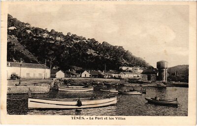 CPA AK ALGERIA TENES Der Hafen und die Villen (1380803)