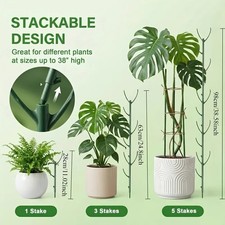 Plant Support Stakes - Durable 6Pcs Set for Monstera and