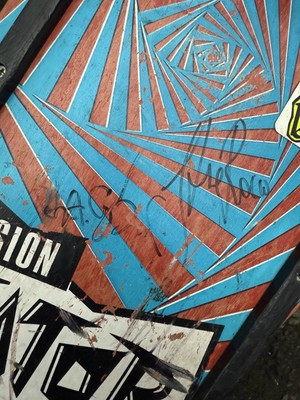 VTG 1980s Vision Gator Mark Rogowski PRO MODEL Skateboard *SIGNED