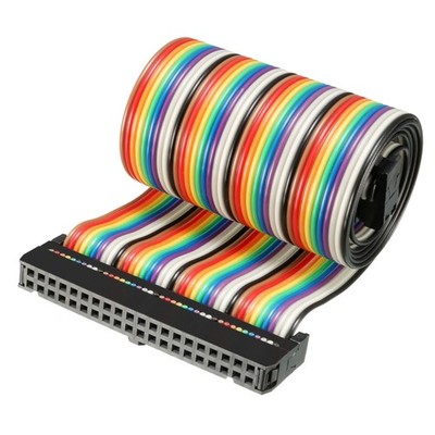 IDC Rainbow Wire Flat Ribbon Cable 40 Pins 48cm Length 2.54mm Pitch Type-C