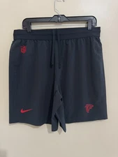 Nike NFL Atlanta Falcons Team Issue Dri-FIT Training Practice Shorts Men M NEW