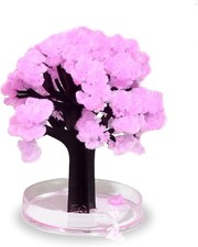 `Mad Monkey - Magic Sakura, Kirschblutenbaum` ACC NEU