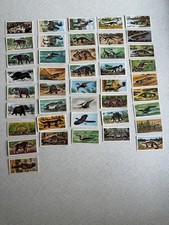Brooke Bond Prehistoric Animals (partial Set 42 cards) 