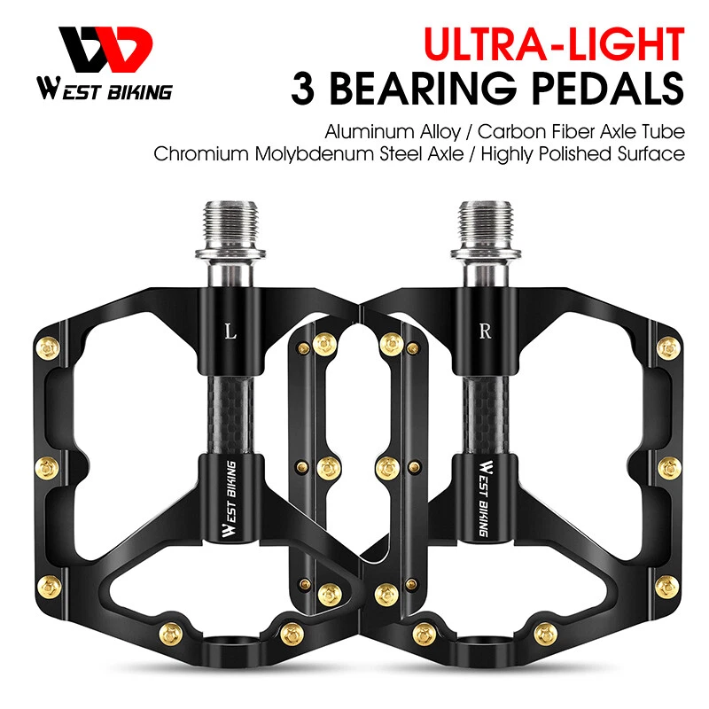 Sealed 2024 bearing pedal