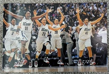 UConn Huskies Women's Basketball Team Celebration 8x12 UNSIGNED Gloss Photo