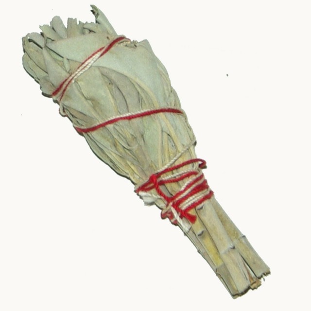 Raeucherwerk: kleiner weisser Salbei-Stab Baby Smudge je 20gr. von Native-Spirit Raeucherwerk: kleiner weisser Salbei-Stab Baby Smudge je 20gr. von Native-Spirit