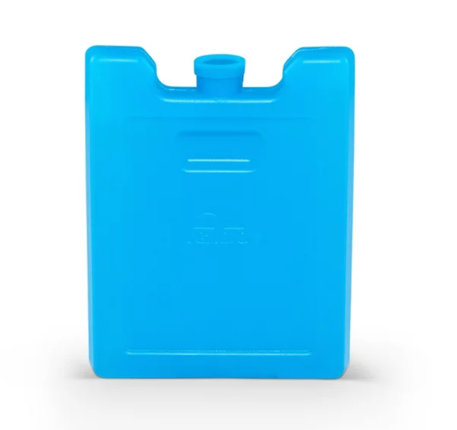 NEW Small Igloo Reusable Ice Pack for Lunch Boxes & Coolers eBay