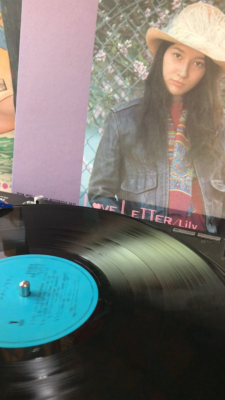 邦楽 LILLY T-Echo – LILYGO®