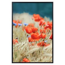 12x18 Aluminum Metal Poster Picture Frame Collection Great for Landscape Photo