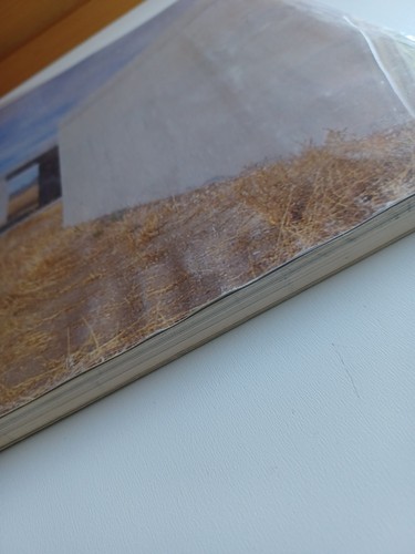 Barbara Haskell / Donald Judd 1st Edition 1988 - Picture 5 of 9