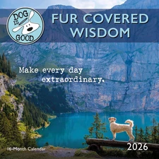 Carousel Calendars,  Dog is Good Fur Wisdom 2026 Mini Wall Calendar, 12'' X 7'',