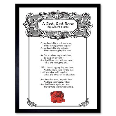 Rote rote Rose Robert Burns Schottland Edinburgh Typografie 12 x 16 Zoll gerahmter Druck