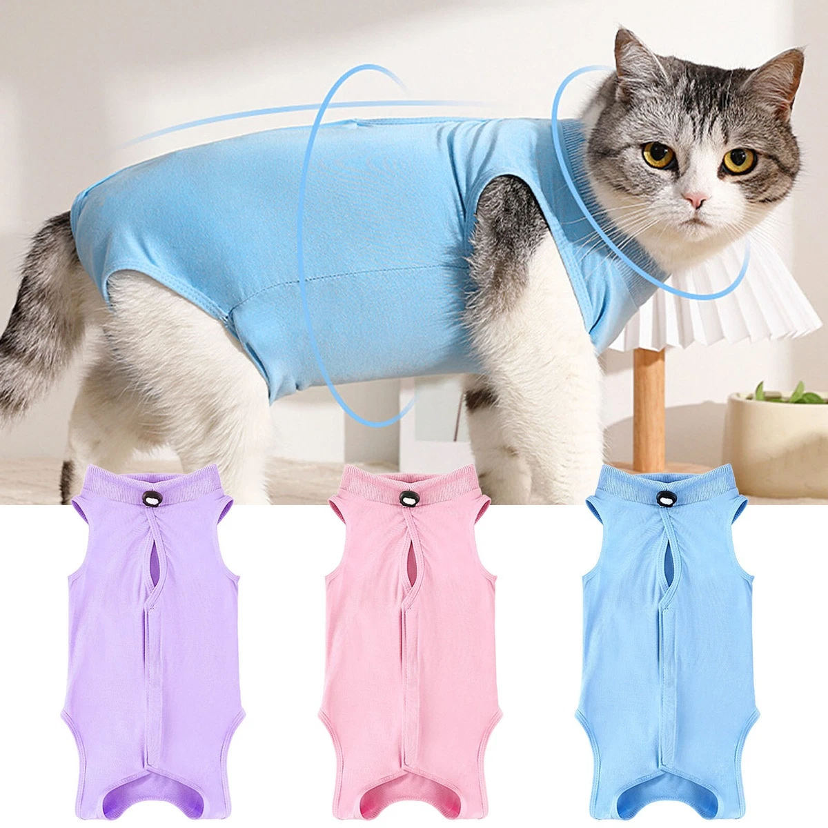 Female clearance cat clothes