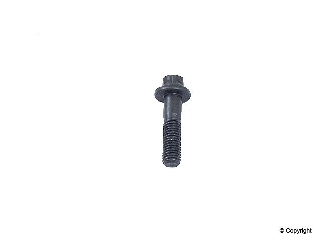 Genuine Engine Timing Chain Guide Bolt for BMW 11311741808 | eBay
