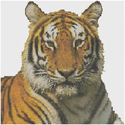 Cross Stitch Pattern by Florashell - Big Cat Sitting Tiger