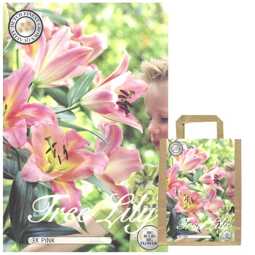 Lilienzwiebeln Sets bunte Blumenzwiebeln Lilium Zwiebeln Knollen Lilien Blüte - Bild 64 von 89
