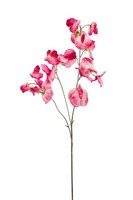 KüNstlicher Wickenzweig SchmetterlingsblüTler Pink H. 72Cm Emerald Kunstblumen