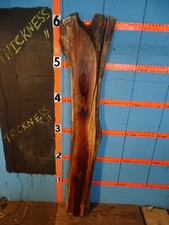 A1143 1 13/16" THICK black walnut Live Edge Slab shelf table bench KILN DRIED