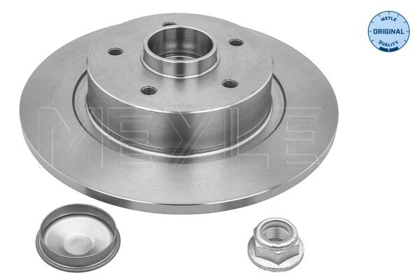 Meyle 2X Bremsscheibe Hinten Ø270 Voll FüR Renault ScéNic II JM0/1_ 2.0 Dci-image