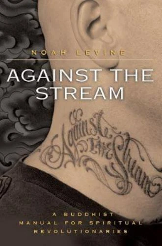 Against the Stream: Noah Levine's Guide for Buddhist Spiritual Revolutionaries